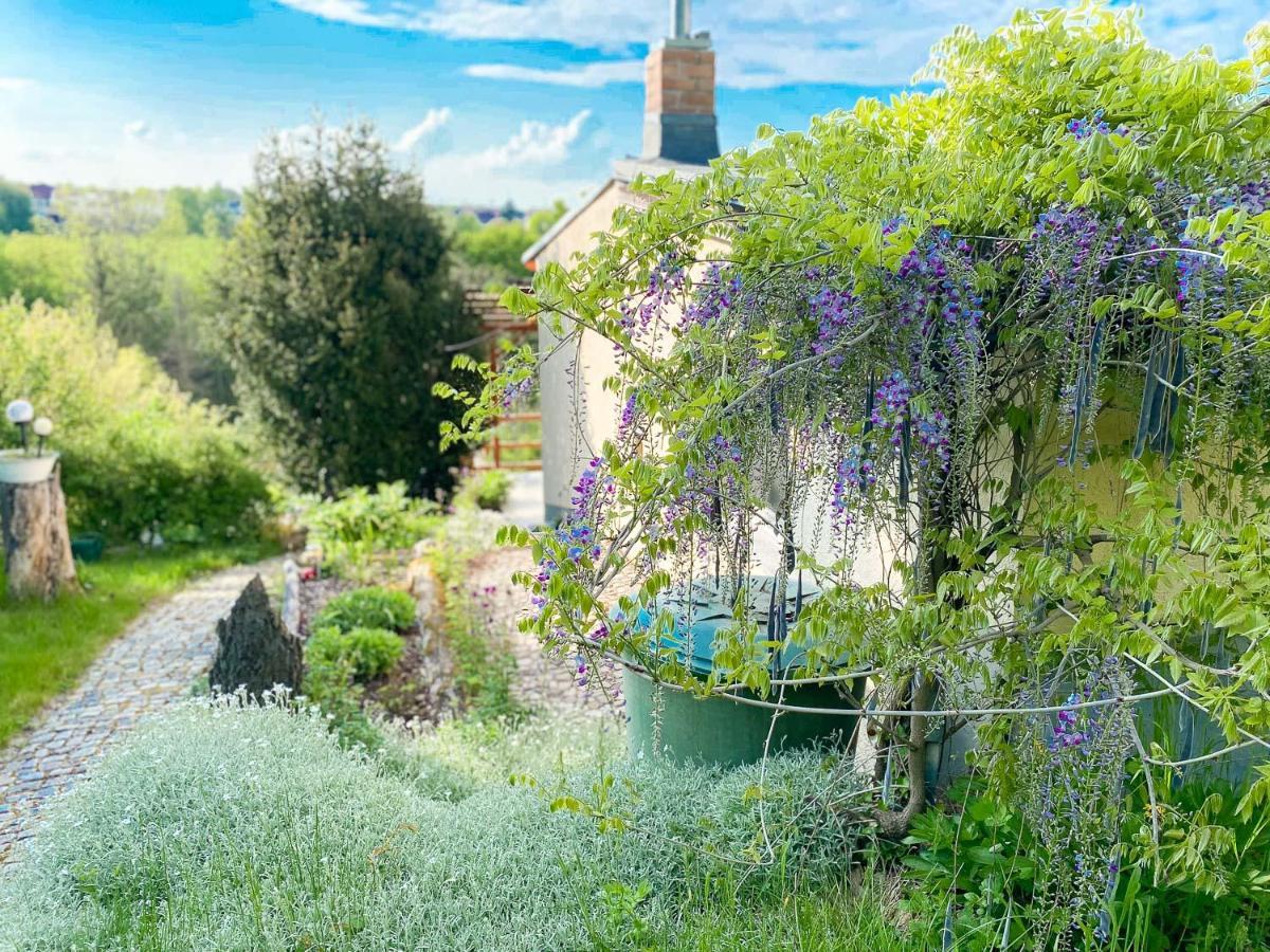 Weinquartier Kalter Huegel Villa Naumburg  Exteriör bild